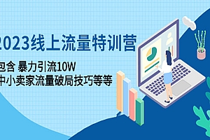 《2023线上流量特训营》包含暴力引流10W+中小卖家流量破局技巧等等
