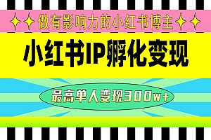 《小红书IP孵化变现》做有影响力的小红书博主,最高单人变现300w+