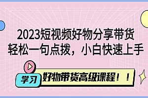 《2023短视频好物分享带货》好物带货高级课程,轻松一句点拨,小白快速上手