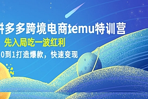 《拼多多跨境电商temu特训营》先入局吃一波红利,从0到1打造爆款,快速变现