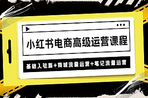 《小红书电商高级运营课程》基础入驻篇+商城流量运营+笔记流量运营