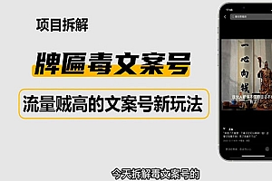 《2023抖音快手毒文案新玩法》牌匾文案号,起号快易变现