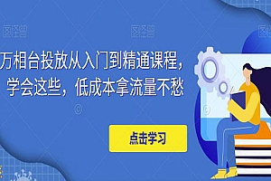 《万相台新手到精通投放技术》学会这些,低成本拿流量不愁