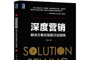 深度营销:解决方案式销售行动指南