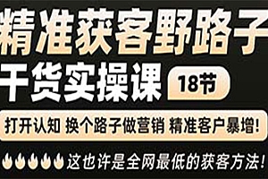 《精准获客野路子》黑科技+快速加人玩法+个微7天加1000+企微爆加5w好友