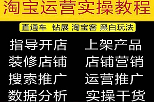 《2023淘宝开店宝典》0基础到高级全套