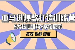 《亚马逊爆款打造训练营》5大核心逻辑+案例展示 打造爆款链接 高效 省钱 稳定