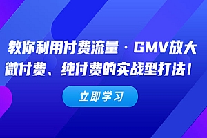 《教你利用付费流量·GMV放大》微付费、纯付费的实战型打法