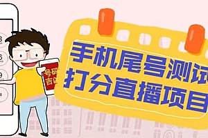 《抖音手机尾号测试打分无人直播项目》日赚几百+