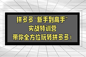 《拼多多新手到高手实战特训营》带你全方位玩转拼多多