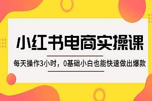 《小红书电商实操课》每天操作3小时,0基础小白也能快速做出爆款