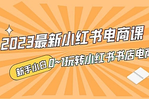 《2023最新小红书电商课》新手小白从0~1玩转小红书薯店电商