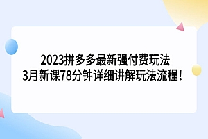 《2023拼多多最新强付费玩法》详细讲解玩法流程