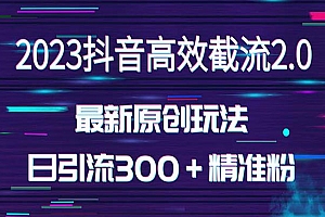 《独家抖音高效截流2.0玩法》日引300+创业粉,(价值1280)