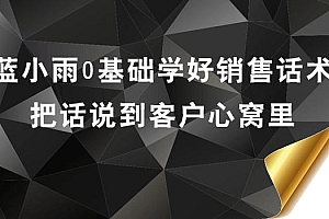 蓝小雨0基础学好销售话术,把话说到客户心窝里