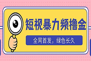 《短视频暴力撸金项目》日入300+长期可做,赠自动收款平台