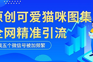 《纯原创可爱猫咪图片全网精准引流》黑科技,实操5个VX号被加频繁