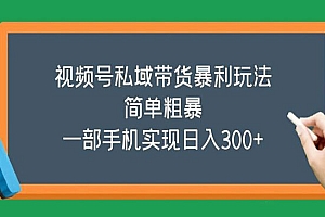《视频号私域带货暴利玩法》简单粗暴,一部手机实现日入300+