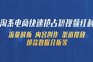 《淘系电商快速抢占短视频红利》流量解析 内容创作 渠道投放 爆款数据分析等