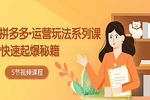 《2023拼多多运营玩法系列课》快速起爆秘籍