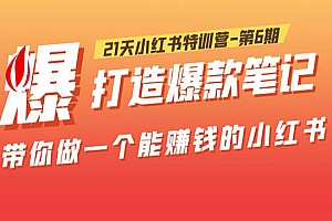 《21天小红书特训营-第六期》打造爆款笔记,带你做一个能赚钱的小红书!