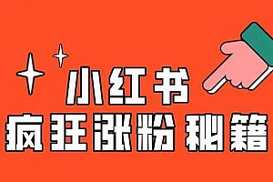 小红书快速涨粉账号运营经验