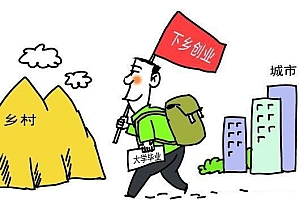 90 后夫妻抛弃共 5 万的月收入,选择回乡种地,被乡亲议论「混不下去」、白上大学,如何看待这种压力?