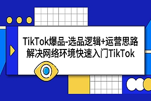 《TikTok爆品选品逻辑+运营思路》解决网络环境快速入门TikTok