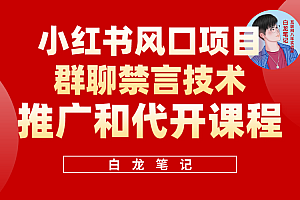 小红书风口项目日入300 ,小红书群聊禁言技术代开项目,适合新手操作