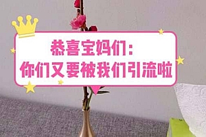 恭喜宝妈们:你们又要被我们引流了(教程 222g资料)