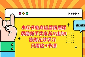 《小红书电商运营精通课》帮助新手卖家从0走向1 告别无效学习