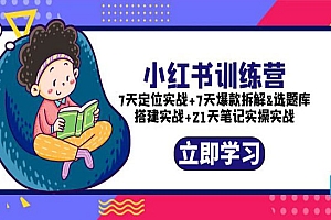《小红书训练营》7天定位实战+7天爆款拆解+选题库搭建实战+21天笔记实操实战