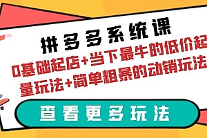 拼多多系统课:0基础起店 当下最牛的低价起量玩法 简单粗暴的动销玩法