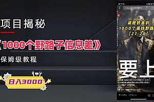 1000个野路子信息差保姆式教程-单日变现3000 的玩法解密