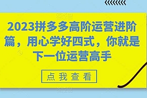 2023拼多多高阶运营进阶篇,用心学好四式,你就是下一位运营高手