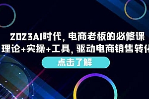 2023AI·时代,电商老板的必修课,理论 实操 工具,驱动电商销售转化