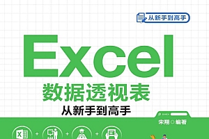 《Excel数据透视表从新手到高手》零基础入门,系统学习Excel数据透视表,快速掌握使用数据透视表汇总和多角度分析数据