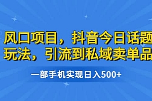 风口项目,抖音今日话题玩法,引流到私域卖单品,一部手机实现日入500