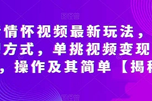 抖音情怀视频最新玩法,多种变现方式,单挑视频变现1000 ,操作及其简单【揭秘】