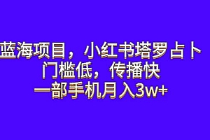 蓝海项目,小红书塔罗占卜,门槛低,传播快,一部手机月入3w