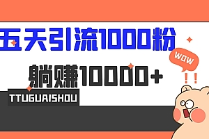5天引流1000 ,赚了1w