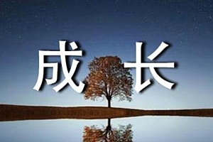 小红书的经验之谈