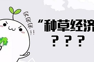 从0到1,小红书种草打法