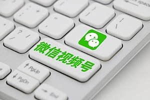 视频号音频栏目的具体玩法