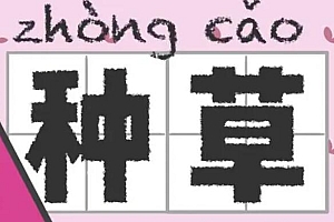 如何理解小红书种草?种草最常见的3个错误