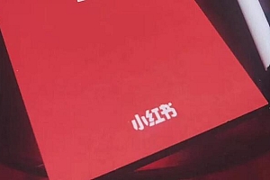 不会投小红书薯条的都进来抄作业