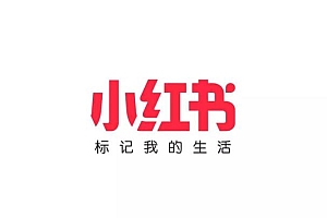 一次性讲透,小红书笔记收录全攻略