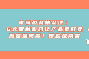 电商 盈利精品课:6大盈利 密码让产品更好卖,流量是刚需!爆款是刚需
