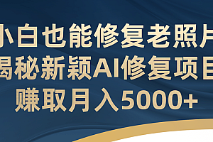 小白也能修复老照片!揭秘新颖AI修复项目,赚取月入5000