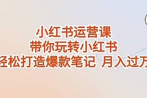 小红书运营课,带你玩转小红书,轻松打造爆款笔记 月入过万